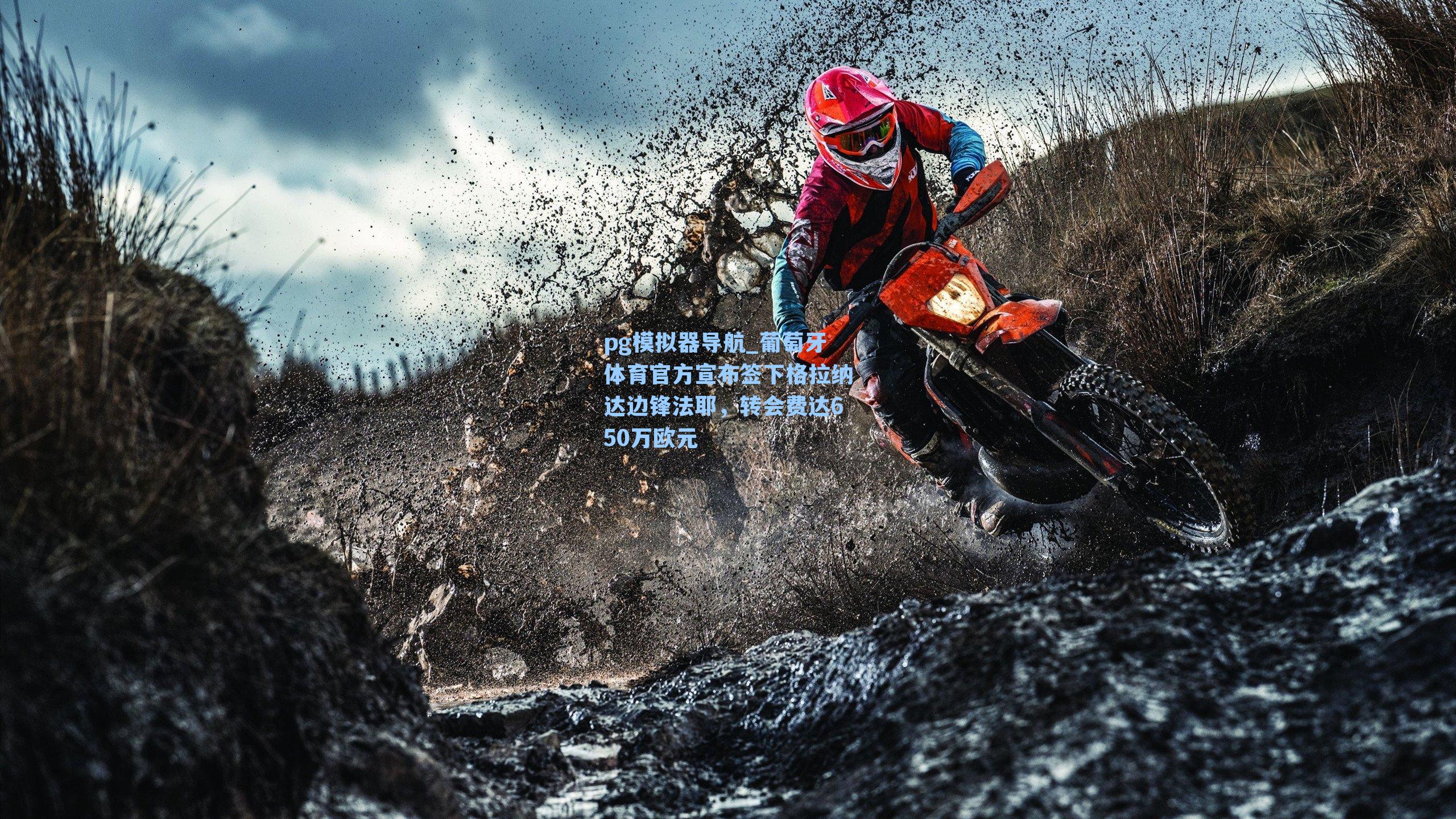 葡萄牙体育官方宣布签下格拉纳达边锋法耶，转会费达650万欧元