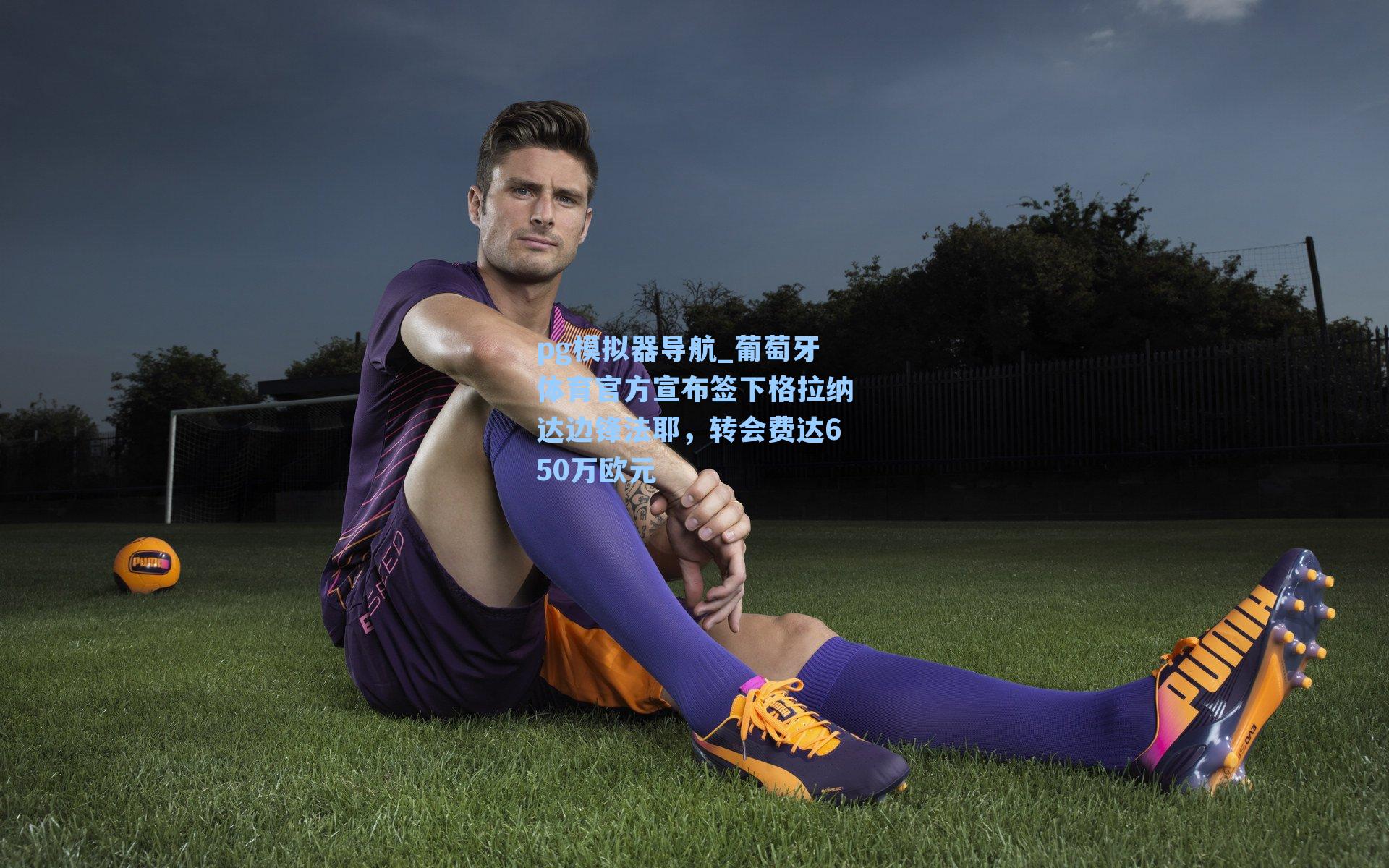 葡萄牙体育官方宣布签下格拉纳达边锋法耶，转会费达650万欧元